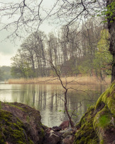 Stephan-Redel-0377-960-05274