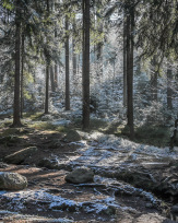 Stephan-Redel-0378-991-0100