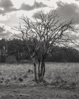 Stephan-Redel-0386-958-04288