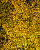 Stephan-Redel-0389-986-5522