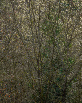 Stephan-Redel-0391-957-0039