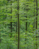 Stephan-Redel-0392-838-05657