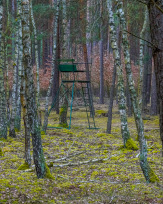 Stephan-Redel-0395-952-03960