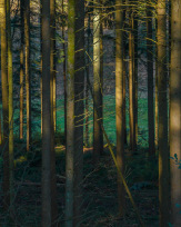 Stephan-Redel-0396-957-0034