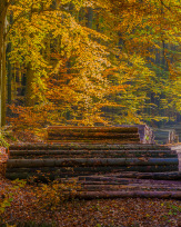 Stephan-Redel-0397-693-6949