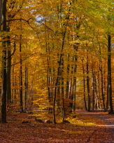 Stephan-Redel-0398-693-6864