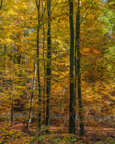 Stephan-Redel-0399-693-6857