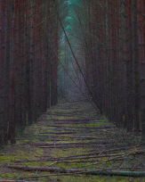 Stephan-Redel-0400-952-03915