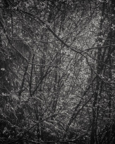 Stephan-Redel-0401-957-0019