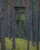 Stephan-Redel-0404-952-03930