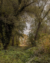 Stephan-Redel-0405-850-04073