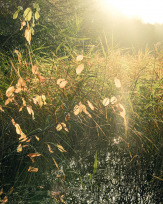 Stephan-Redel-0407-930-02360