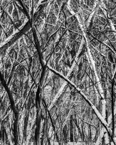 Stephan-Redel-0410-938-03299