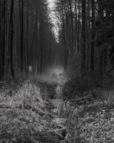 Stephan-Redel-0411-938-03320