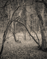 Stephan-Redel-0412-938-03316