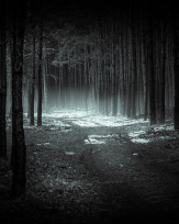 Stephan-Redel-0413-938-03304