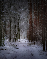 Stephan-Redel-0414-938-03238