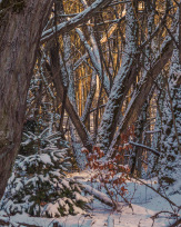 Stephan-Redel-0415-938-03292