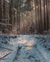 Stephan-Redel-0417-938-03288