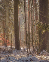 Stephan-Redel-0418-938-03279