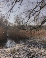 Stephan-Redel-0419-938-03256