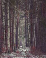 Stephan-Redel-0422-937-03133