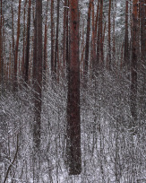 Stephan-Redel-0423-938-03243