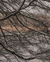 Stephan-Redel-0424-938-03231