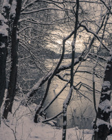 Stephan-Redel-0425-938-03221