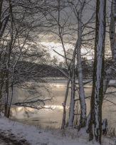 Stephan-Redel-0426-938-03220