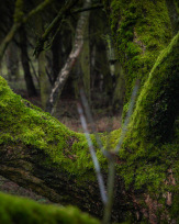 Stephan-Redel-0427-938-03183