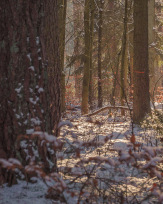 Stephan-Redel-0428-938-03277