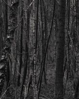 Stephan-Redel-0429-933-02728