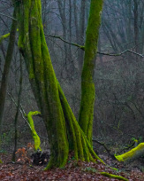 Stephan-Redel-0433-933-02697