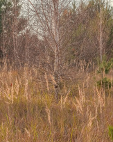 Stephan-Redel-0437-932-02592