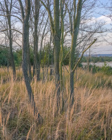 Stephan-Redel-0439-932-02605