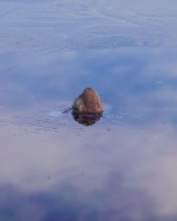 Stephan-Redel-0442-932-02633