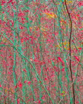 Stephan-Redel-0443-931-02511