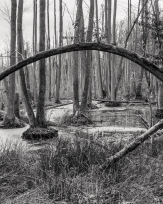 Stephan-Redel-0444-931-02517