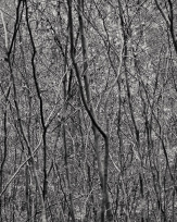 Stephan-Redel-0445-931-02509