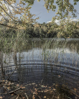 Stephan-Redel-0448-1026-06536