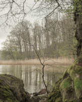 Stephan-Redel-0450-960-05271