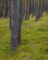 Stephan-Redel-0452-931-02473