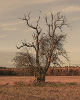 Stephan-Redel-0454-930-02472