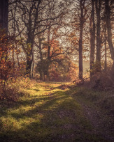 Stephan-Redel-0455-930-02465