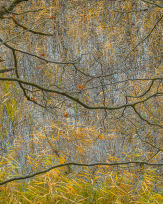 Stephan-Redel-0457-930-02420