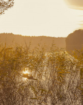 Stephan-Redel-0459-930-02364