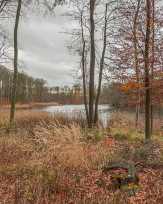 Stephan-Redel-0459-931-02506