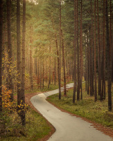 Stephan-Redel-0460-930-02439