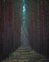 Stephan-Redel-0461-952-03914